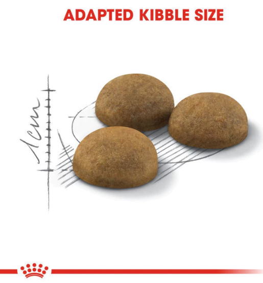 Mars Petcare Royal Canin Indoor Long Hair Dry Cat Food 400 gram