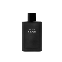 ZARA Man Silver EDT