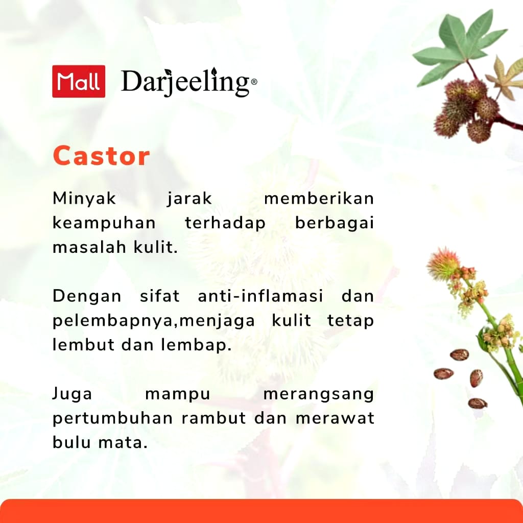 Darjeeling Sembrani Aroma Darjeeling Castor Oil 