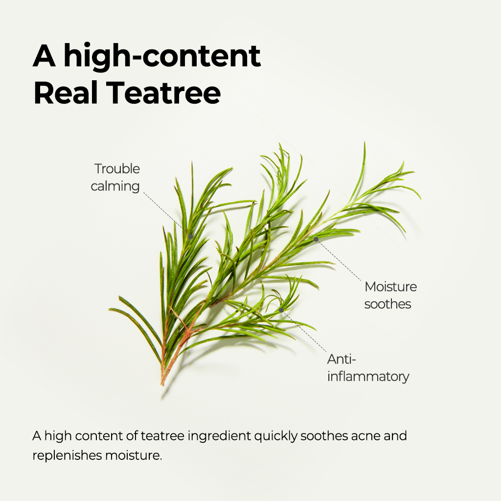 Real Teatree Calming Care Mask 3