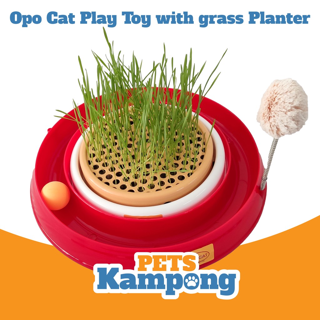 Opo Cat - Play Toy with Grass Planter  3