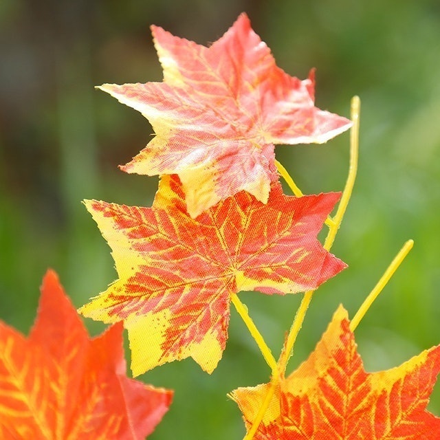 Daun Rambat Maple Artifisial 2