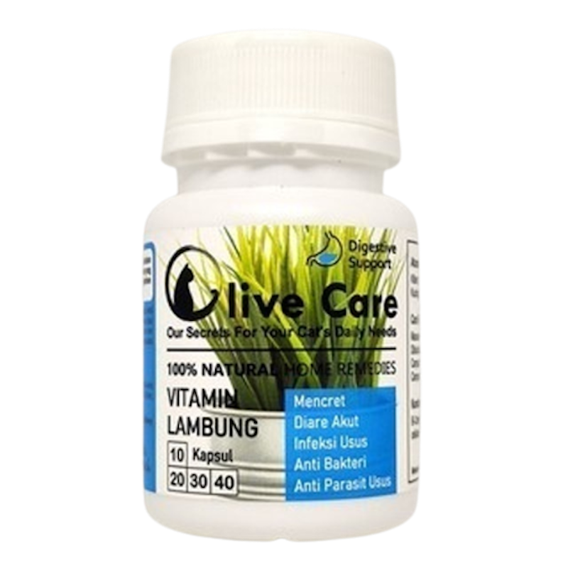 Olive Care Vitamin Lambung