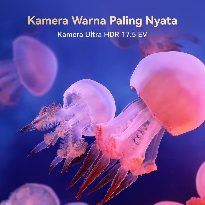 Huawei Huawei Mate X7