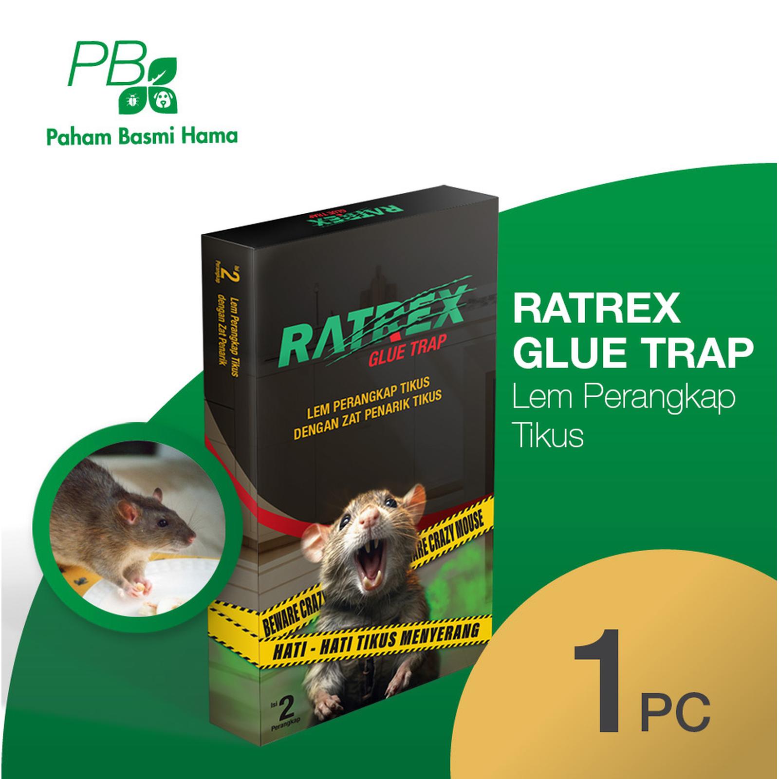 Ratrex Glue Trap