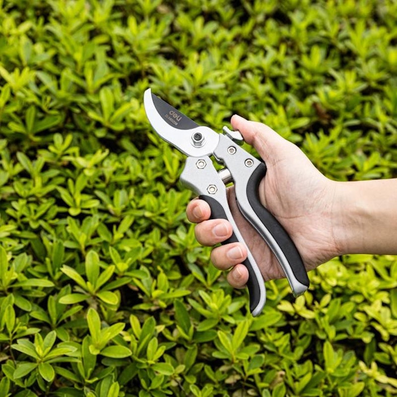 Deli Gardening Shear 8" 4