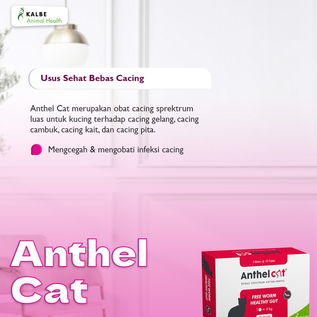 Anthel Cat 3