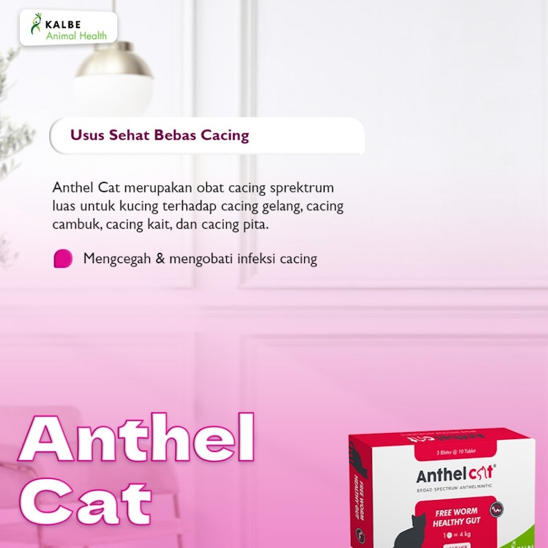 Anthel Cat 3