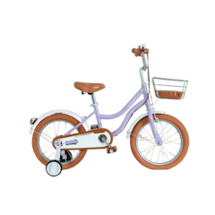 New Phoenix Sepeda CTB