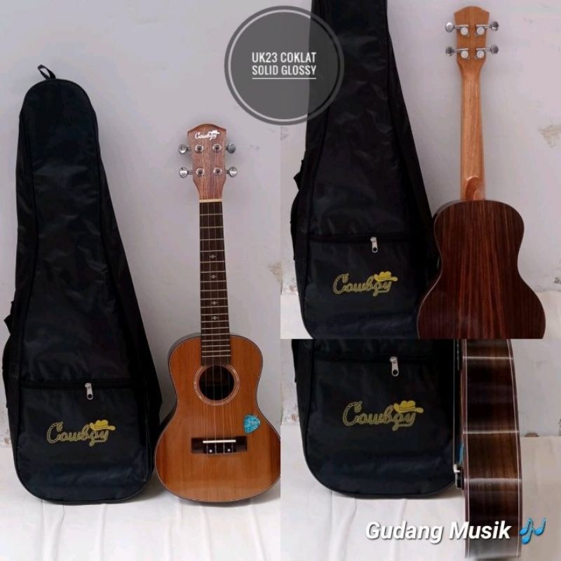 Concert Ukulele 23 4
