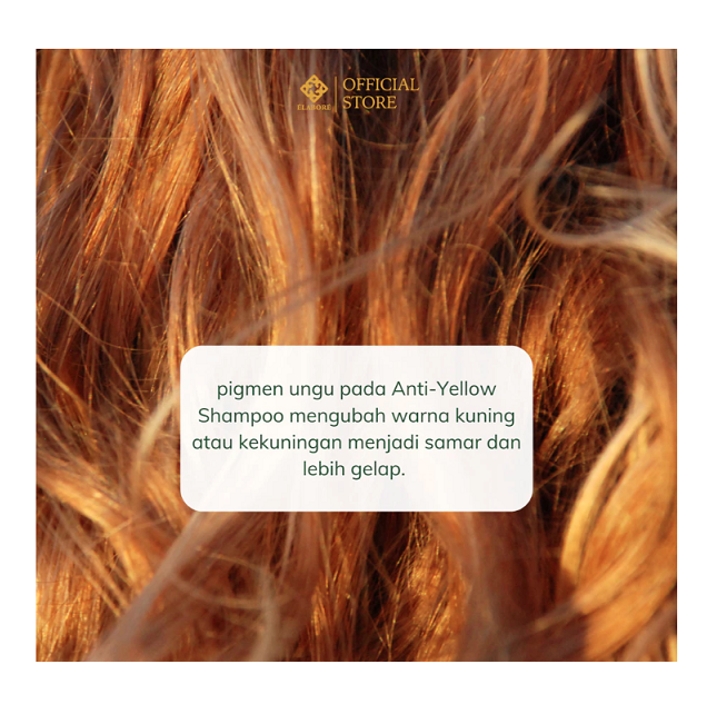SeaHan Cosmetics Elabore Anti Yellow Shampoo