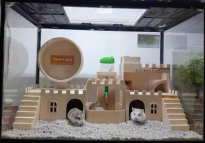 Terarium Kandang Hamster Mainan Kayu 1