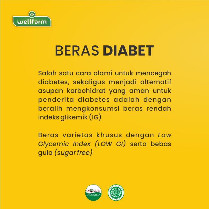 Wellfarm Inspira Nusantara Group WellFarm Beras Diabet Organik