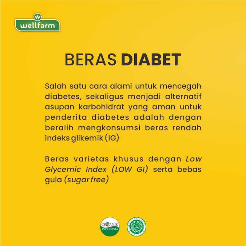 WellFarm Beras Diabet Organik 2