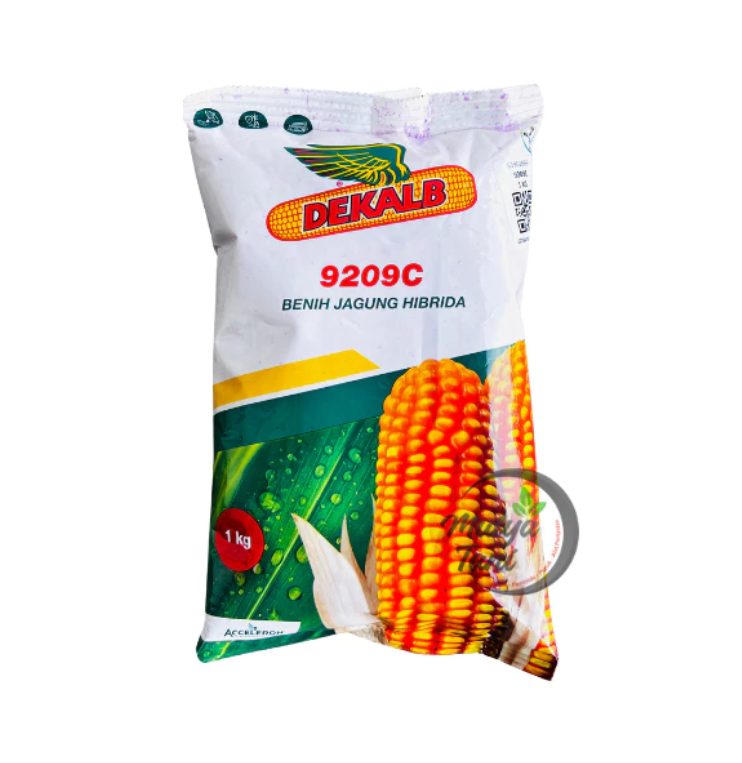 Dekalb Benih Jagung Hibrida  1