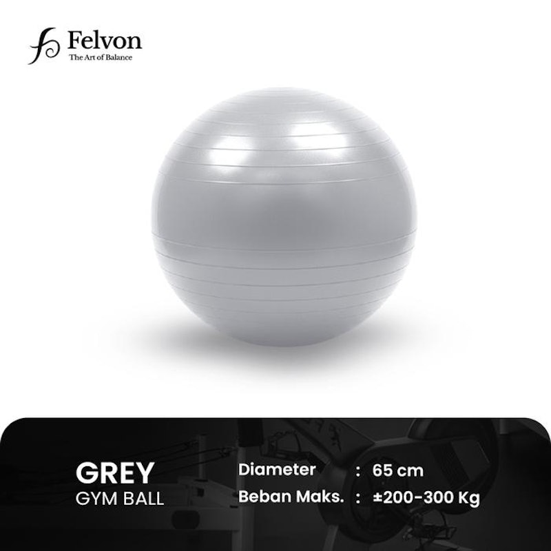 Felvon Gym Ball Premium 65 cm 2