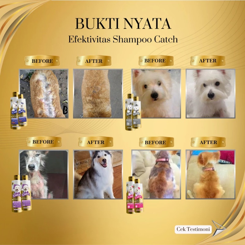 Catch Shampoo Anjing Bulu Putih 4