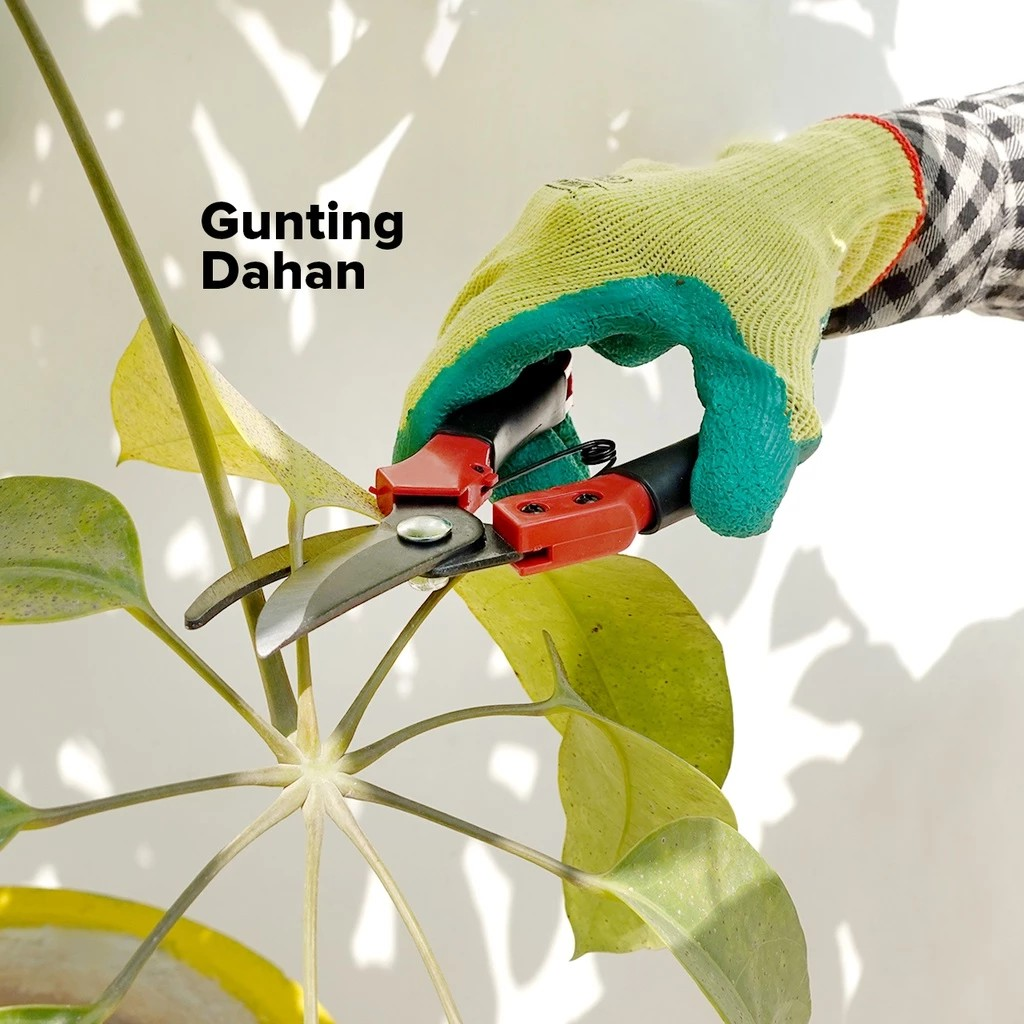 Gunting Dahan K800 3
