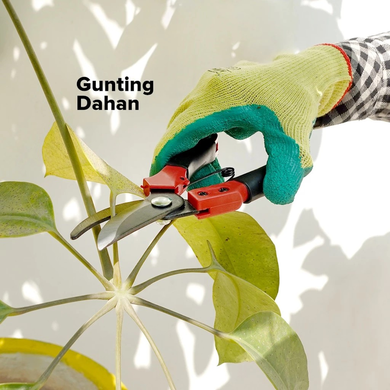 Gunting Dahan K800 3