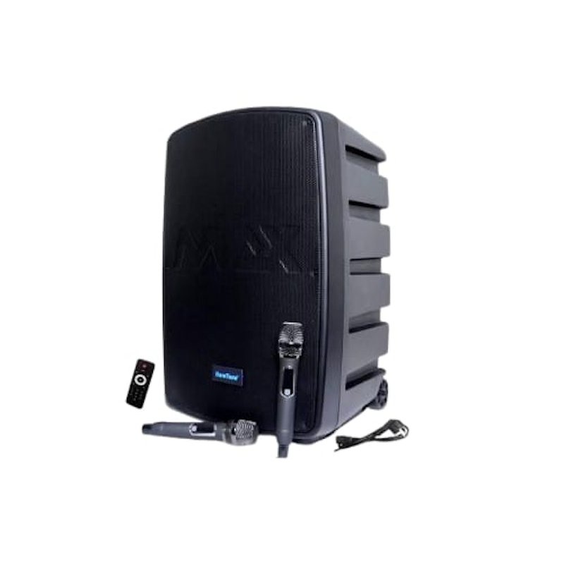 BareTone Audio Portable Speaker 15 Inch ｜ MAX15NB