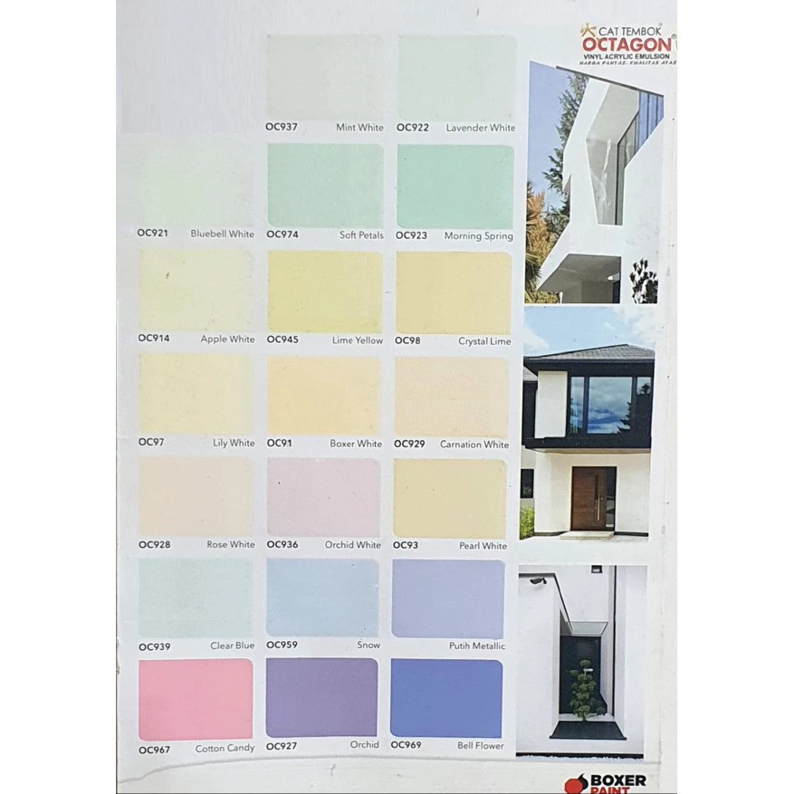 Boxer Paint Cat Tembok Octagon Gold Exterior 2