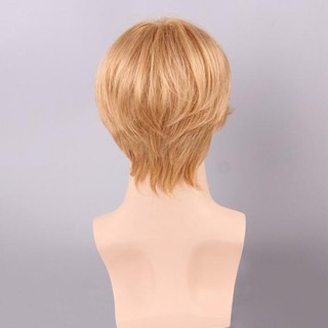 Blonde Short Human Hair Men Wig 3