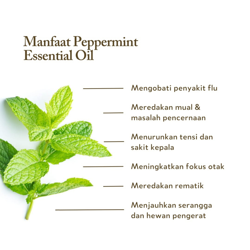 Organic Supply Co. Peppermint 5