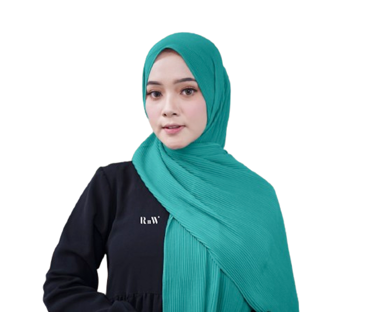 RnW Pashmina Plisket Premium Cerutty Ultimate 3
