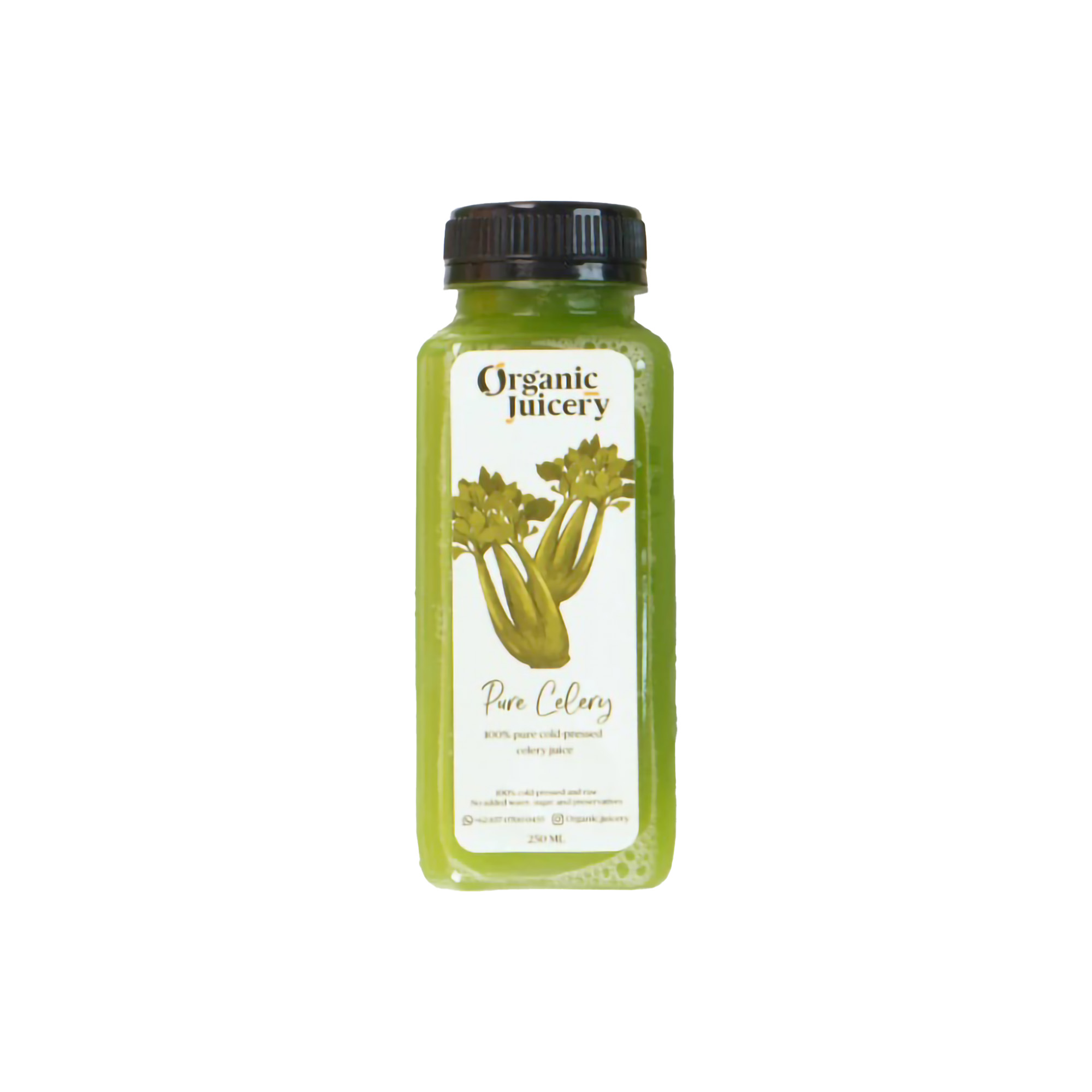 Organic Juicery Cold Pressed Juice Pure Celery Juice