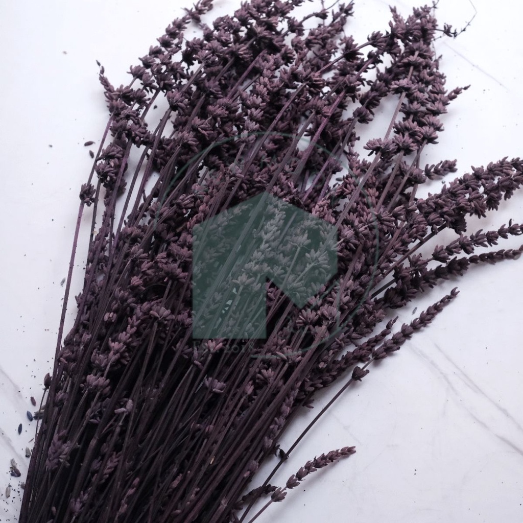 Bunga Kering Rustic Vintage Preserved Lavender 4