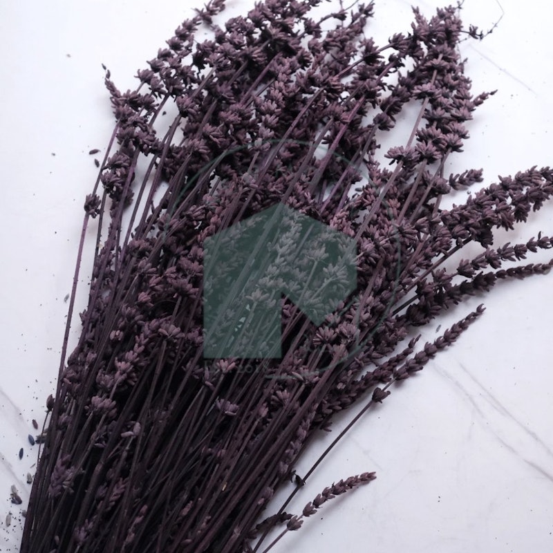 Bunga Kering Rustic Vintage Preserved Lavender 4