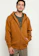 Dickies YALE 1