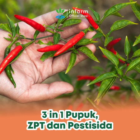 Infarm Infarm Pupuk Organik Cair Tanaman Cabai