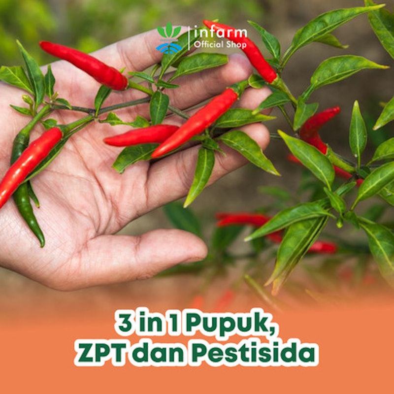 Infarm Pupuk Organik Cair Tanaman Cabai 4