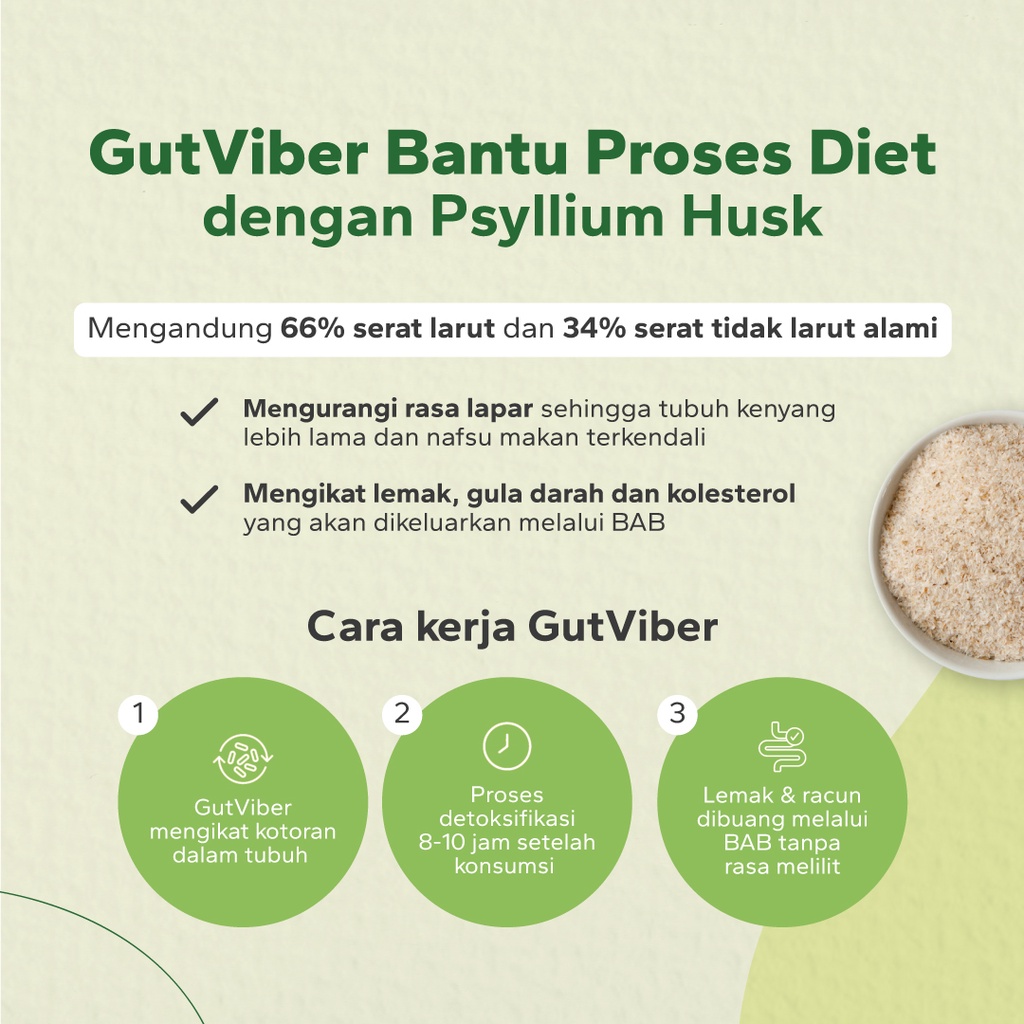 GutViber  Minuman Detox Rasa Buah dan Sayur