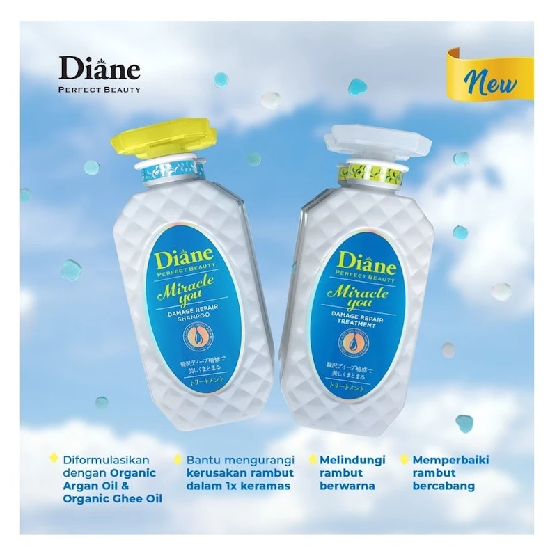 Diane Perfect Beauty Miracle You Damage Repair Shampoo 3