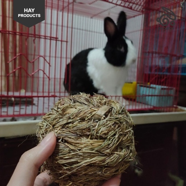  Timothy Hay Ball with Bell
