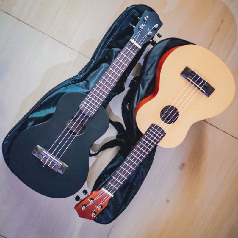 Ukulele Concert 2
