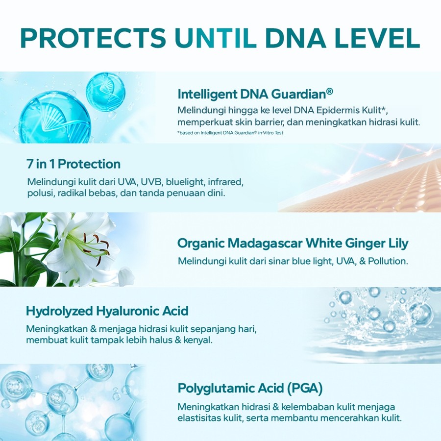 AMATERASUN UV Sunscreen Cream SPF 50+ PA++++