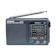 Tecsun AM/FM/SW PORTABLE RADIO 1