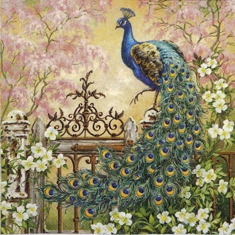 Napkin Decoupage Peacock