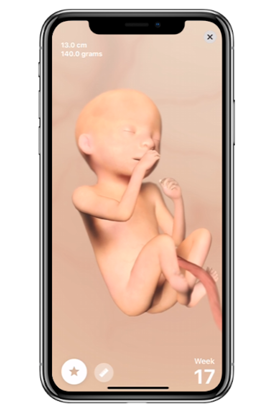 Pregnancy+ 2