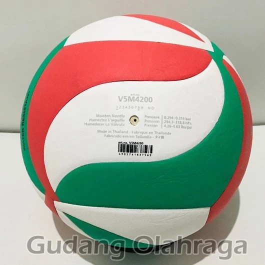 Molten Corporation Molten Bola Voli Approved by FIVB 4200