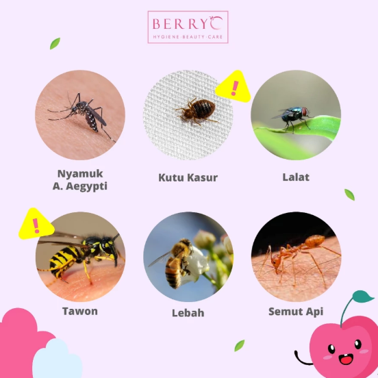 Natural Farm Indonesia BerryC Buh Bye Bugs