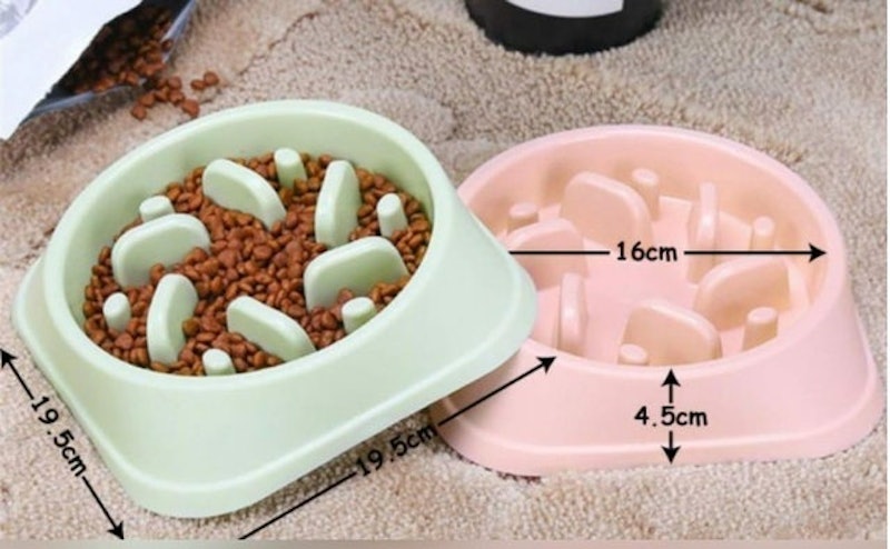 Pet Bowl Slow Feeder 2