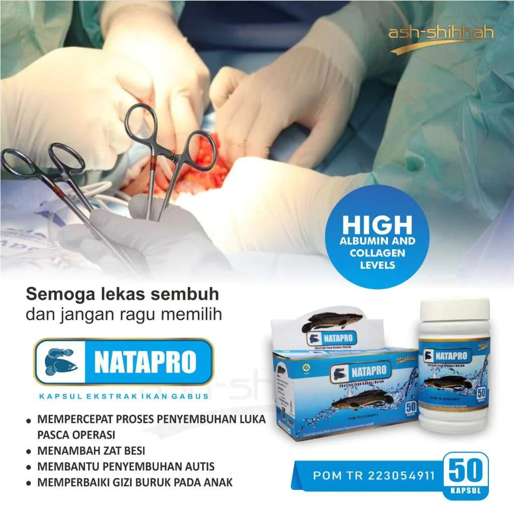 Ash-Shihhah Herbal Natapro (Kapsul Ekstrak Ikan Gabus)