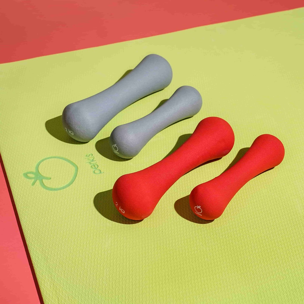  Perkis Basic Weights 2 x 2 kg