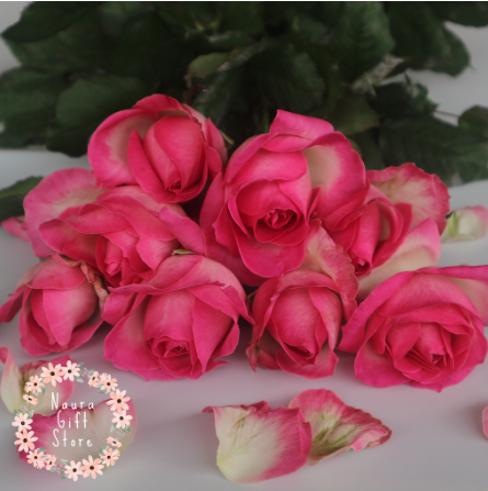  Bunga Mawar Potong Asli