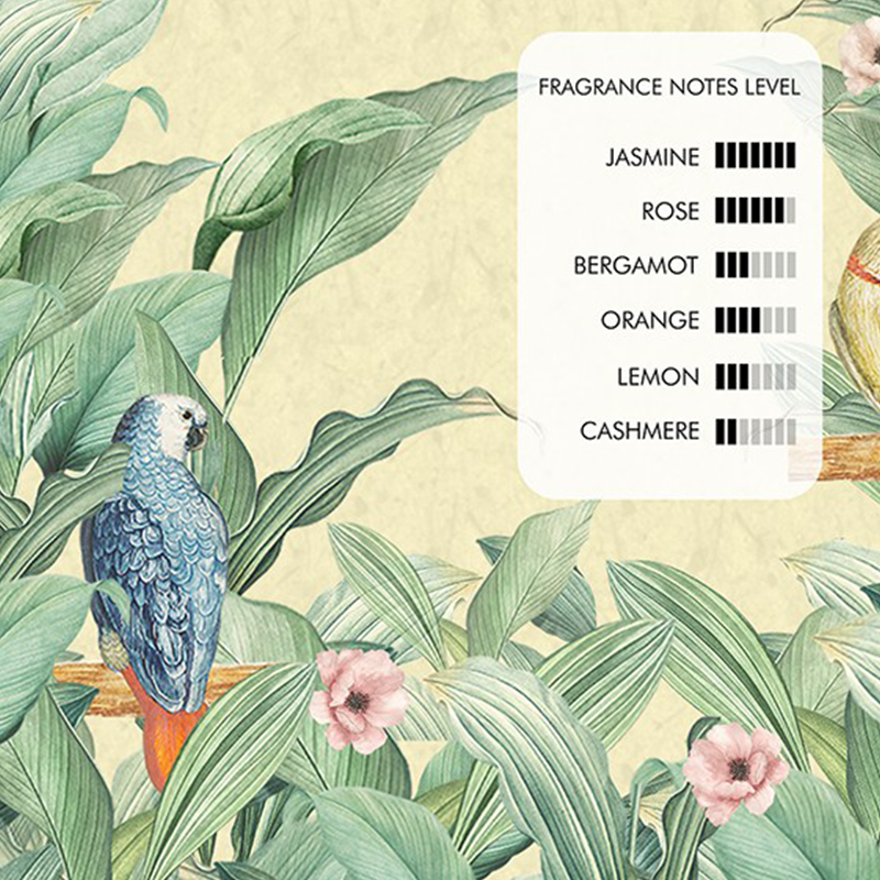 Elina Prima Sejahtera Careso Jasmine Blossom