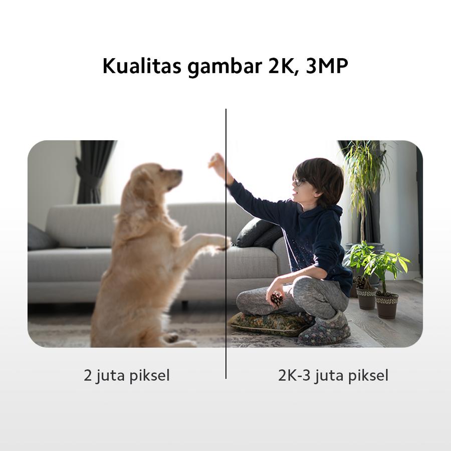 Xiaomi Communication Technology  Xiaomi Smart Camera C301